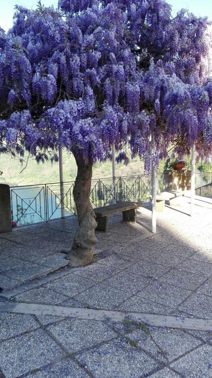 Bed and Breakfast La Casa Di Milady Genzano di Roma Exteriér fotografie